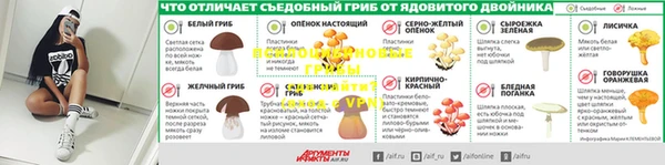 индика Балабаново