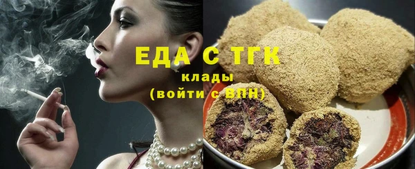 индика Балабаново