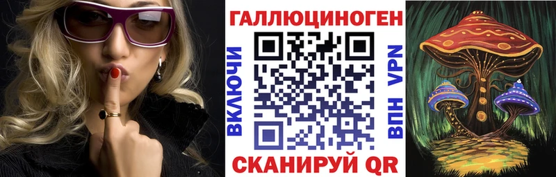 Купить где  Новоульяновск  Галлюциногенные грибы GOLDEN TEACHER 